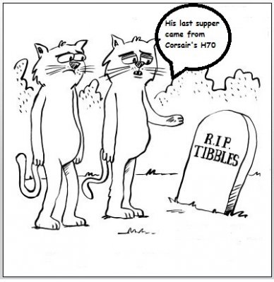 dead cat cartoon 6.JPG